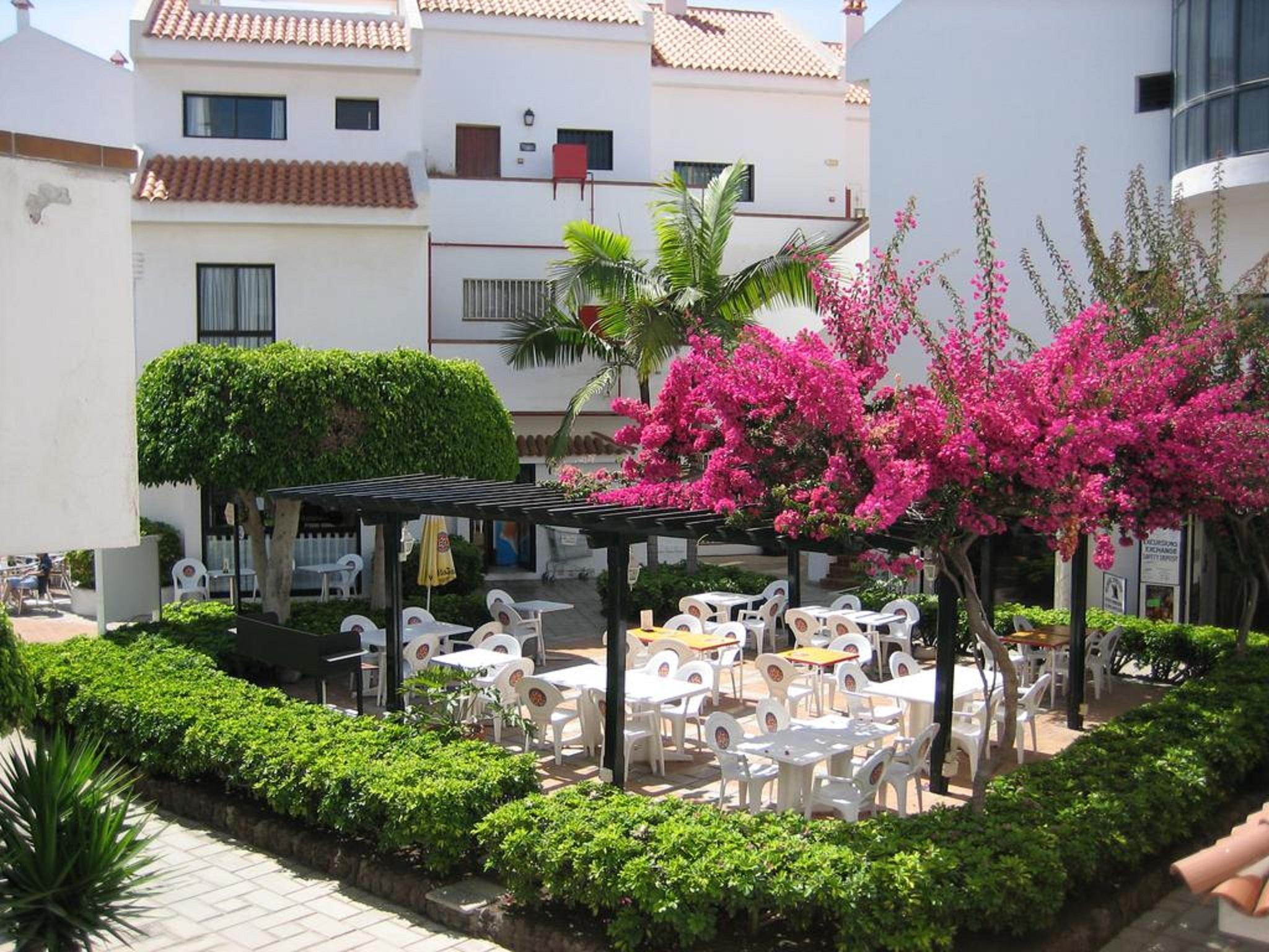 Apartamentos Hg Cristian Sur Los Cristianos  Dış mekan fotoğraf